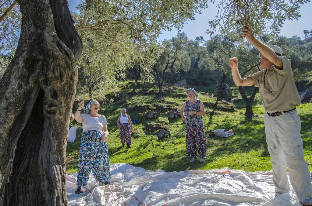 Agora Pansiyon Kapikiri Екстериор снимка